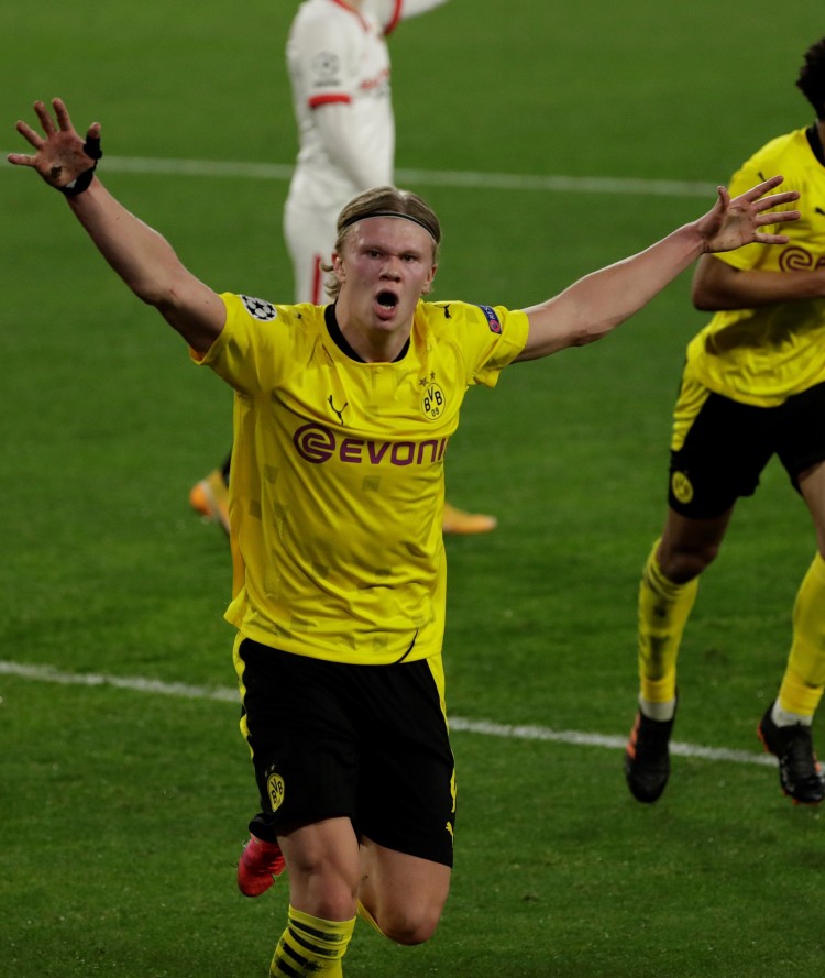 的作用不仅 的作用不仅