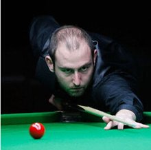 可以看到纽 可以看到纽