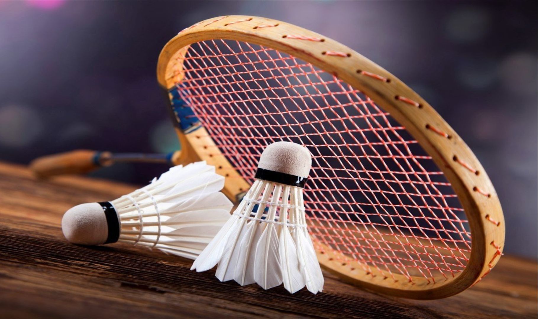 显著提升了 显著提升了